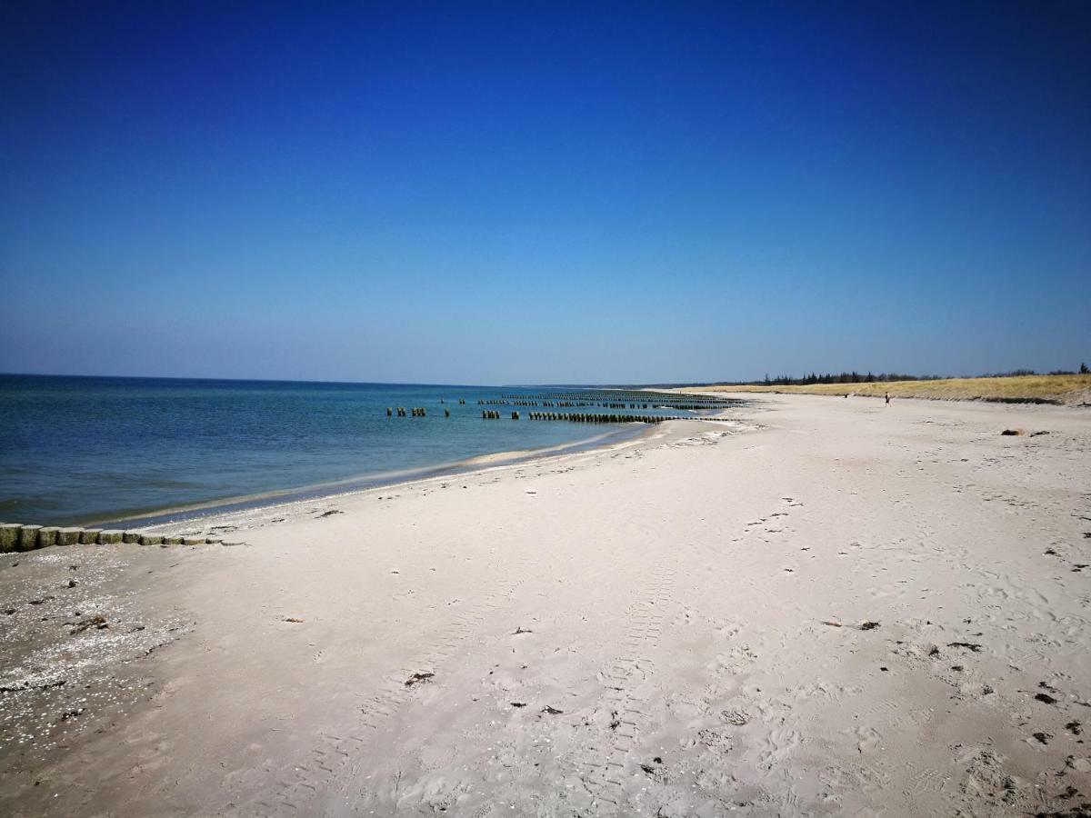 Darsser Strandgut - Haus Ahrenshooper Holz 외부 사진