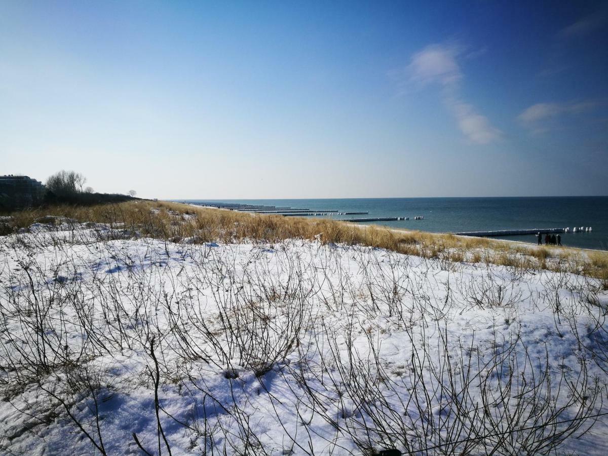 Darsser Strandgut - Haus Ahrenshooper Holz 외부 사진