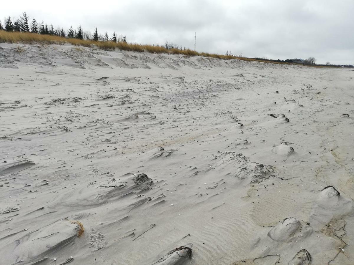 Darsser Strandgut - Haus Ahrenshooper Holz 외부 사진