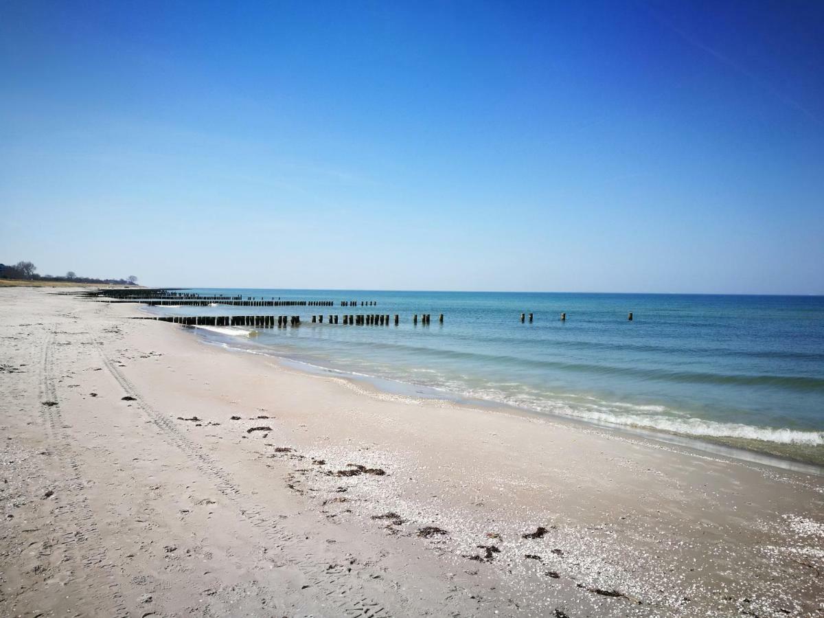 Darsser Strandgut - Haus Ahrenshooper Holz 외부 사진
